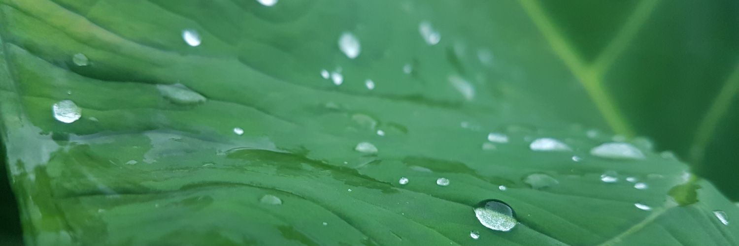 SupSPY's profile banner image
