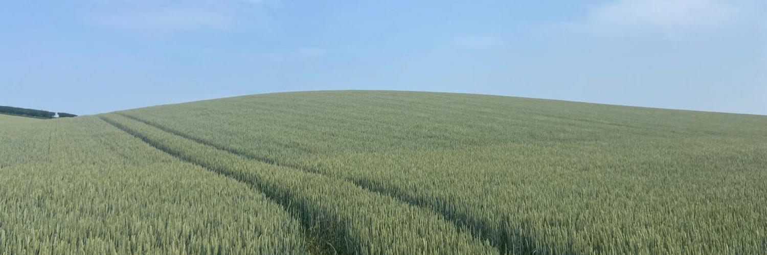 Saxon Agriculture banner