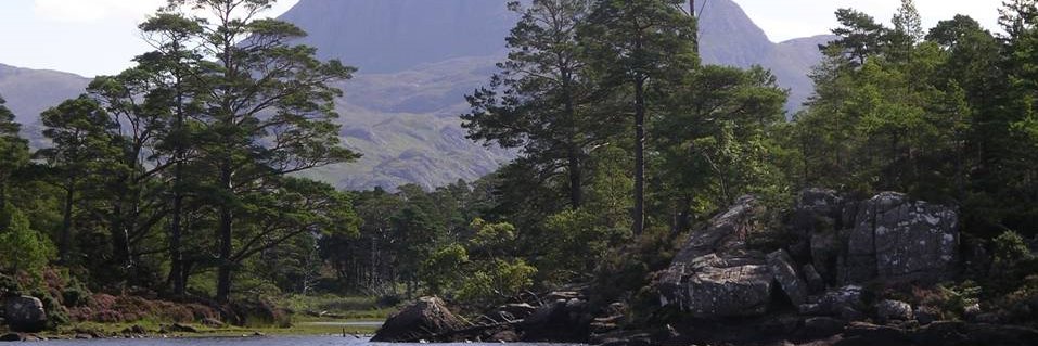 JSR1001's profile banner image