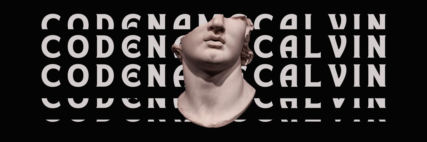CODENAMECALVIN's profile banner image