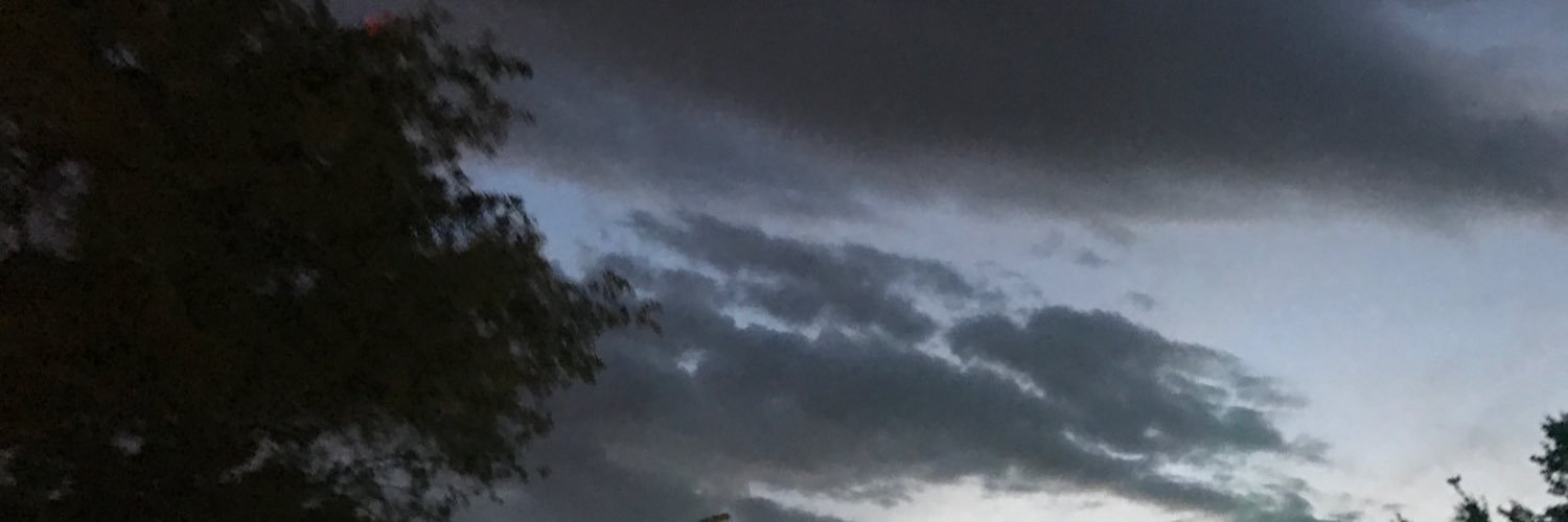 Taylee003's profile banner image
