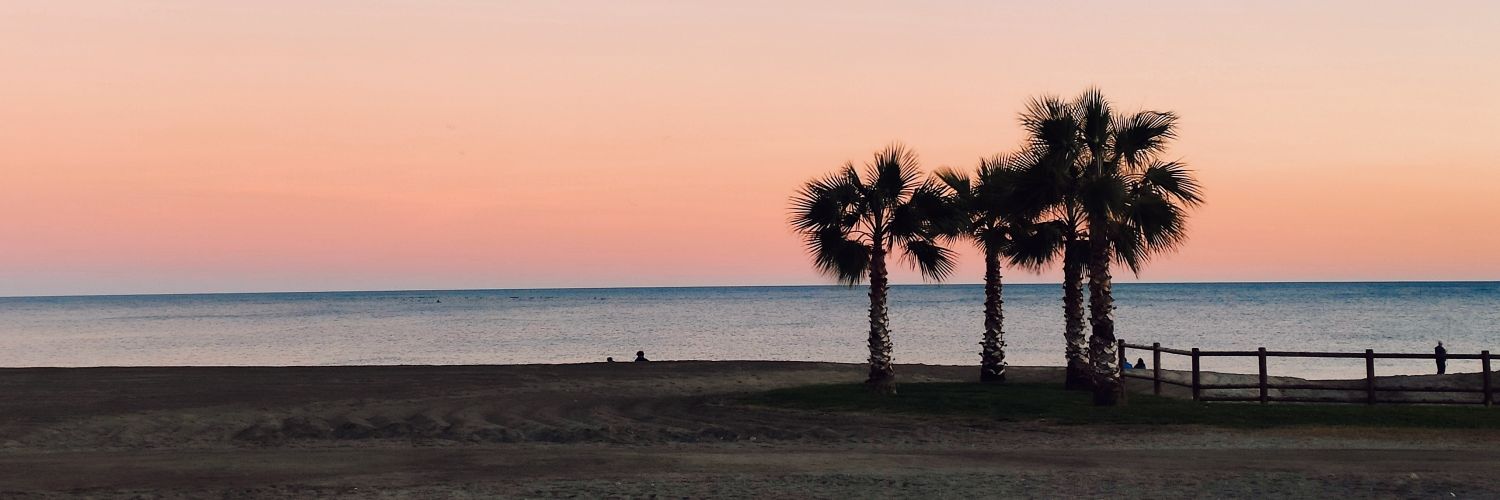 elicr_'s profile banner image