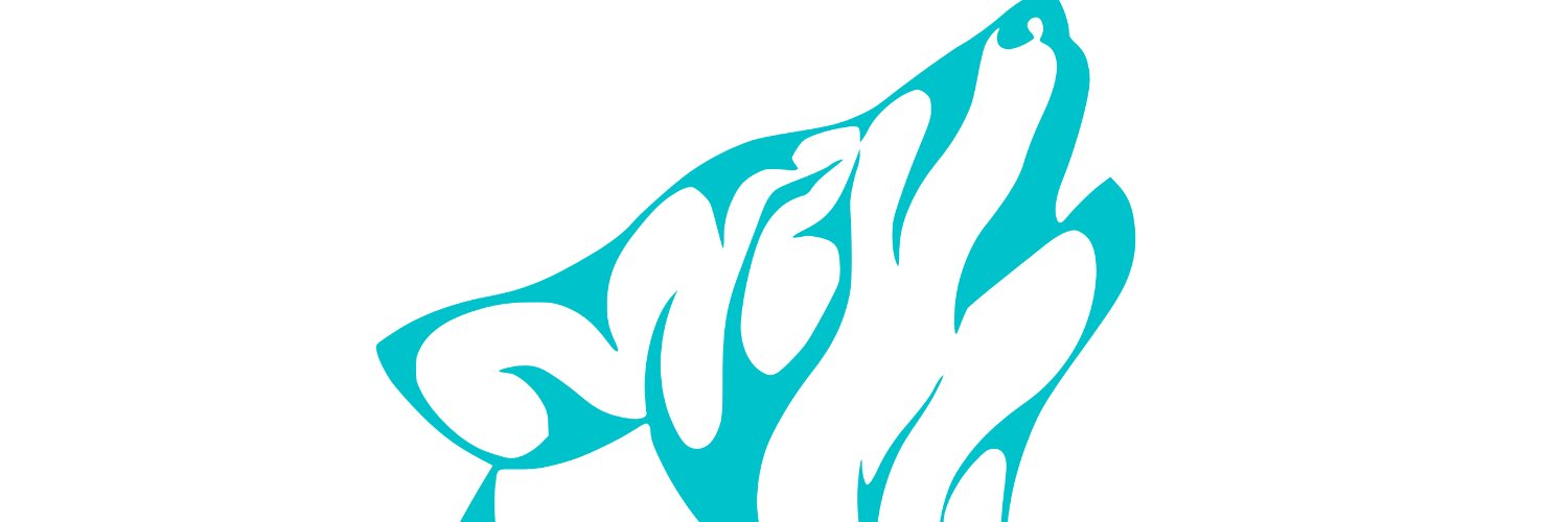 WolfyBev's profile banner image