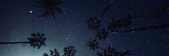 catharssol's profile banner image