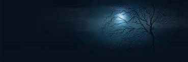 denisse banner