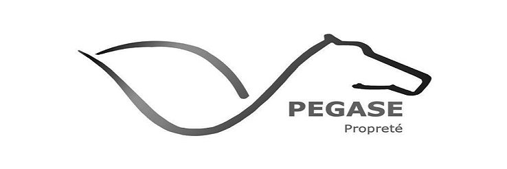 PEGASEPROP's profile banner image