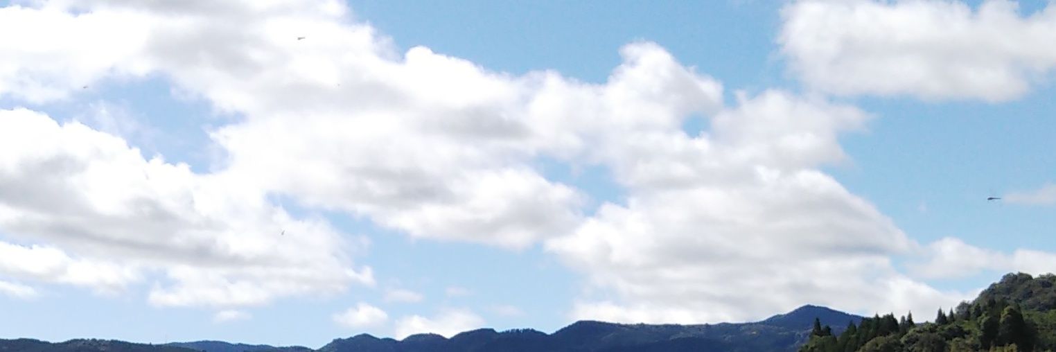 flower_factory7's profile banner image
