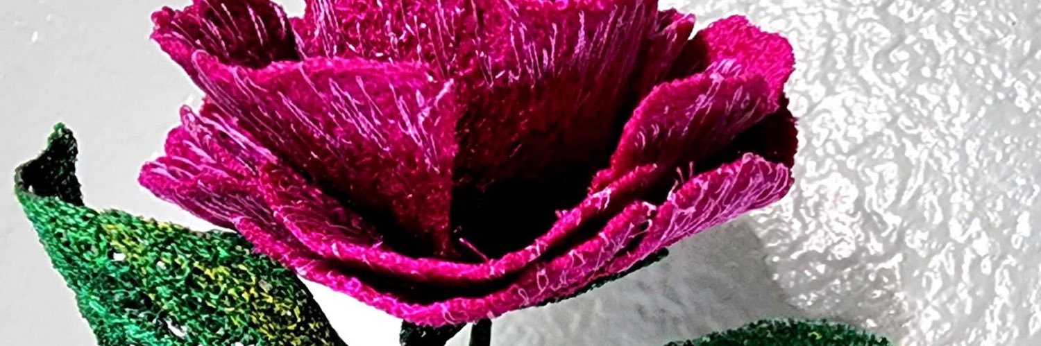 danielmccool1's profile banner image