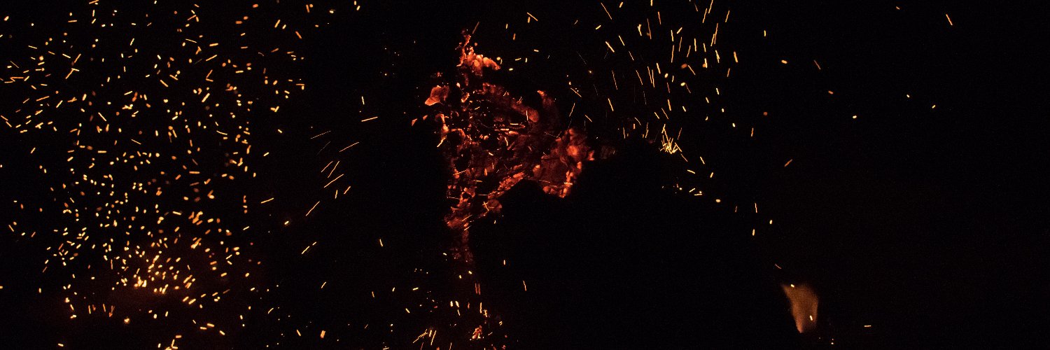 PederneraFlor's profile banner image