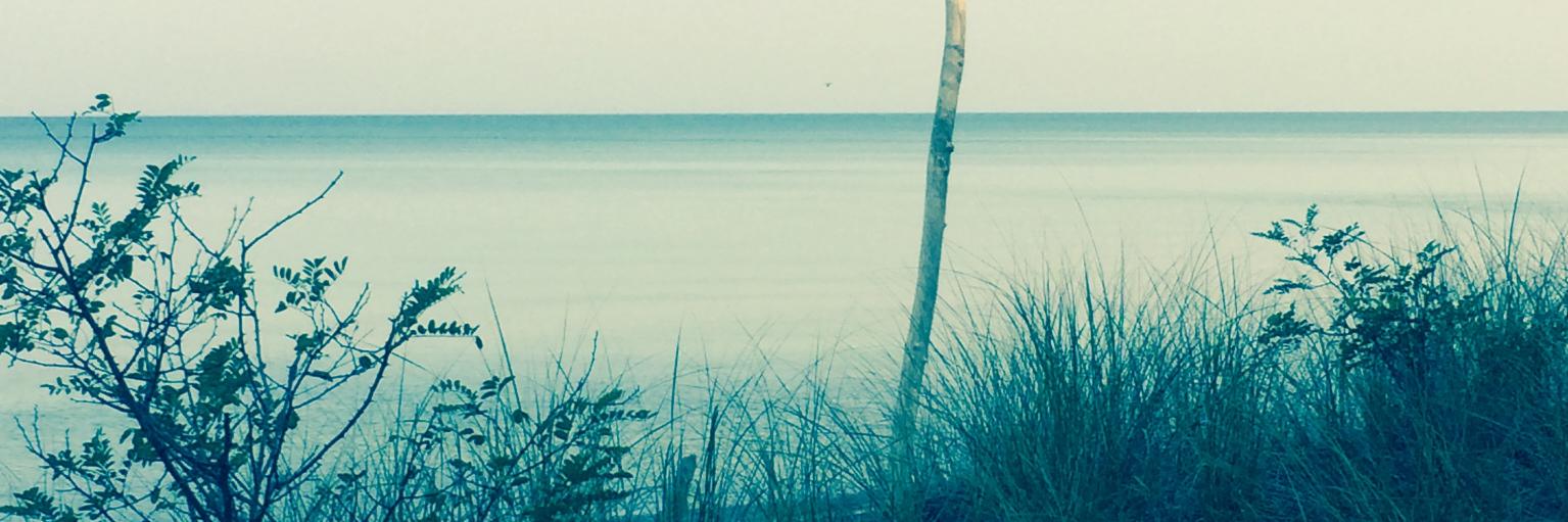 Rodrigo Prudencio 🇧🇴 🇺🇸 banner