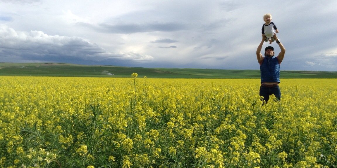 Sarah wright olsen banner