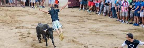 Cesar Bertol banner