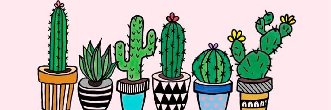 rominalvarezv's profile banner image