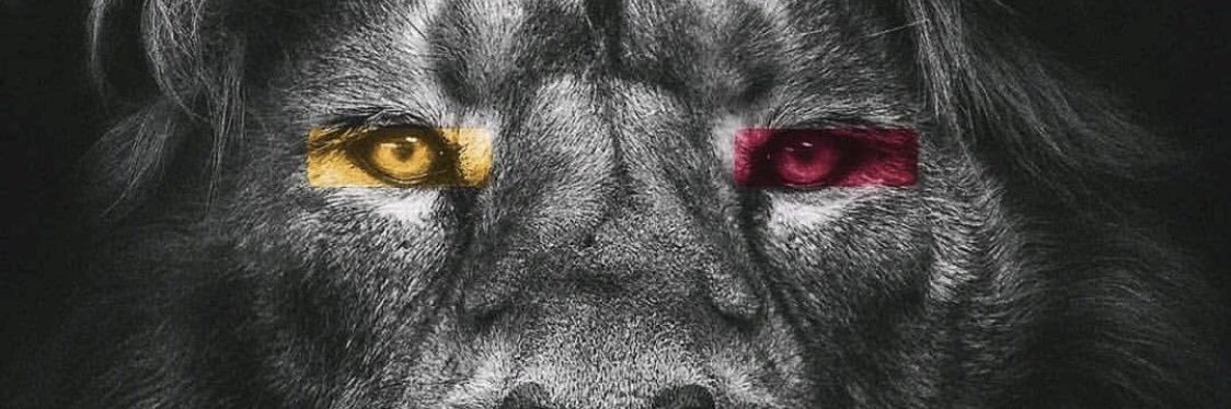 MtErdeM_'s profile banner image