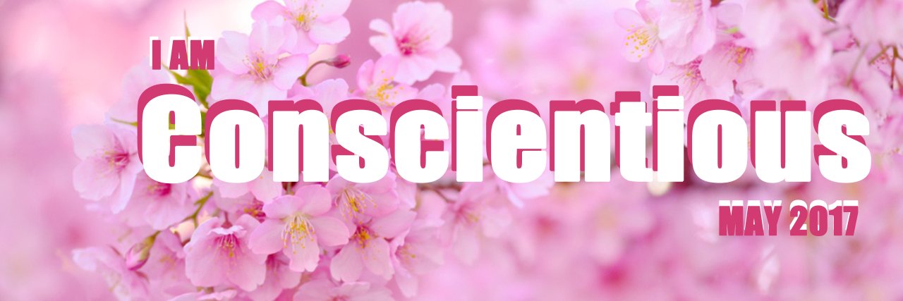 TheNappyNomad's profile banner image