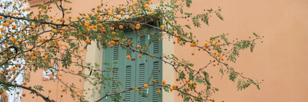 barbaramaral's profile banner image