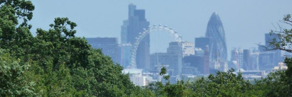 CindyCroucher's profile banner image