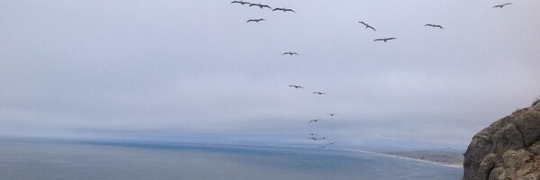 atreyeeT Profile Banner