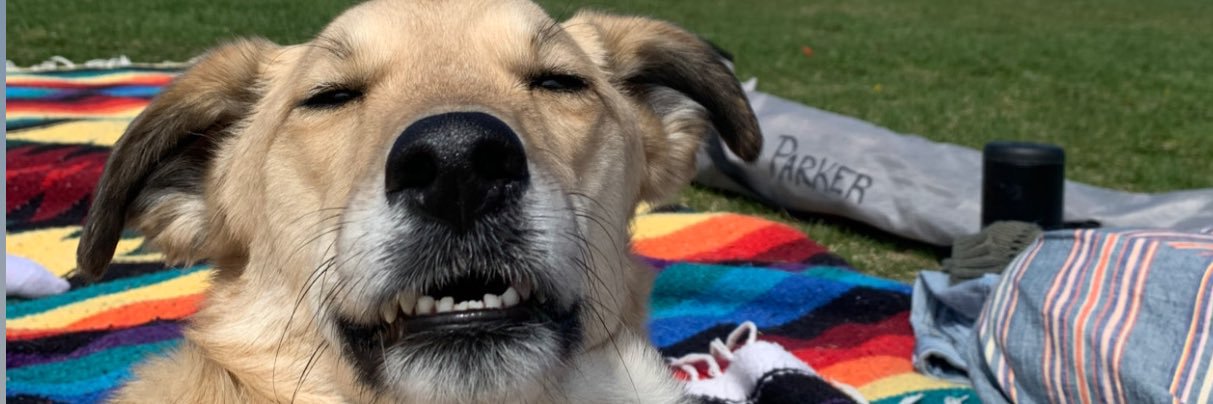 iBParks's profile banner image
