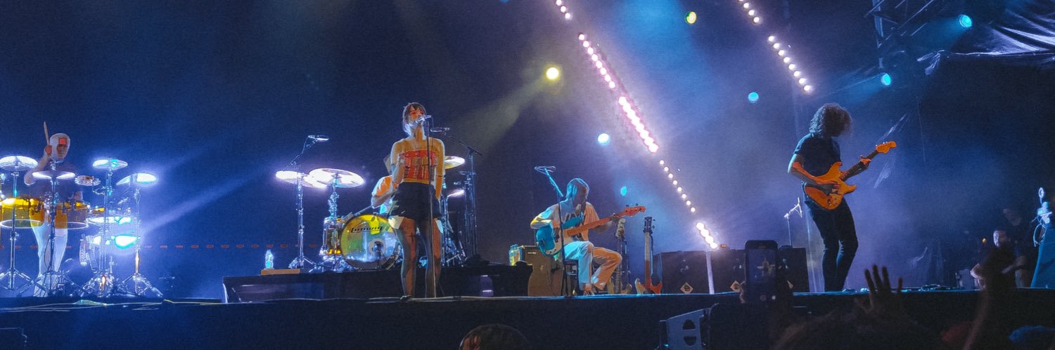 ray vai ver hayley williams banner