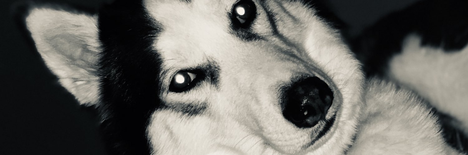 Swicketts's profile banner image