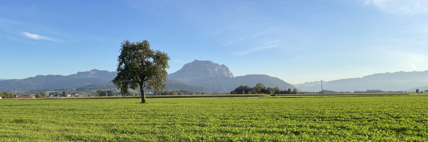 skierlinger's profile banner image