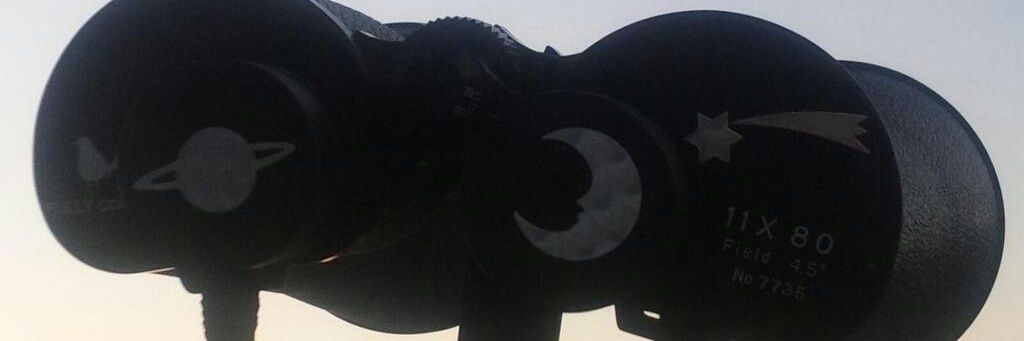 nasdaisas's profile banner image