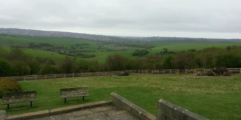 Peter Bassett banner