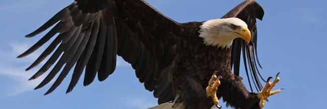 sgatorwu's profile banner image