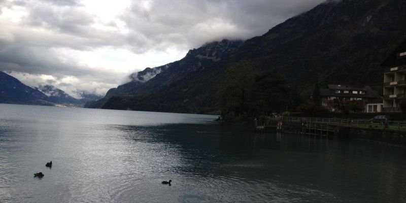 mona_1427's profile banner image