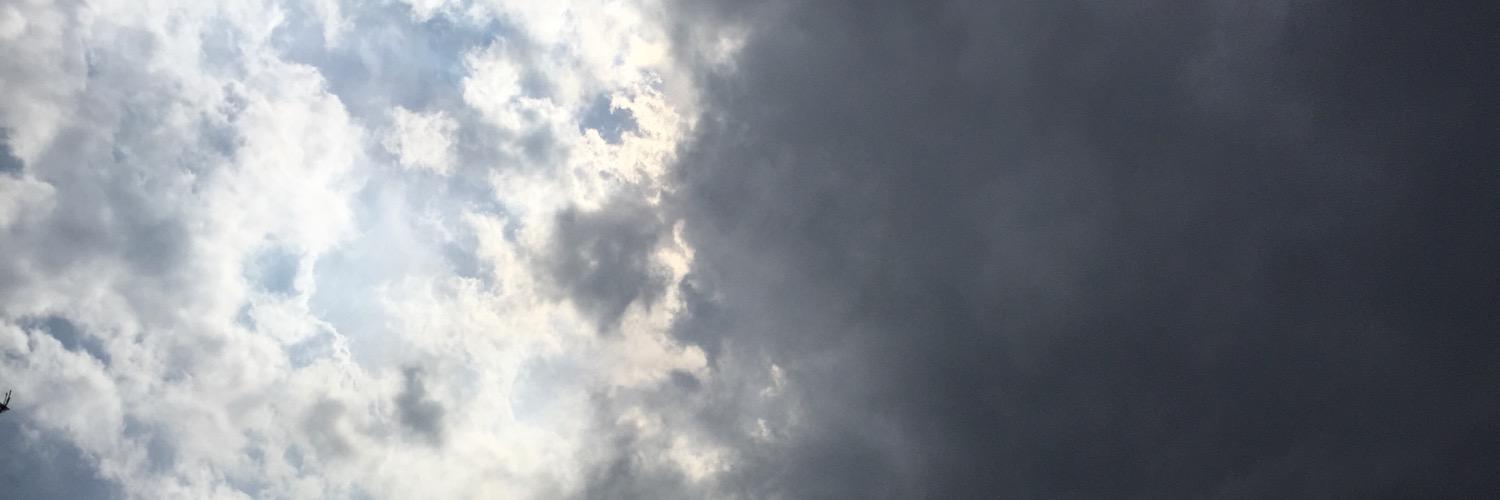 lysrox's profile banner image