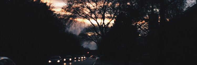 lisaringnalda's profile banner image