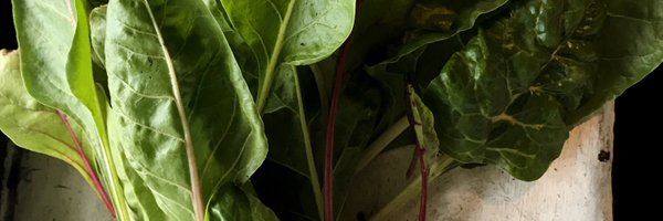 gold_em Profile Banner