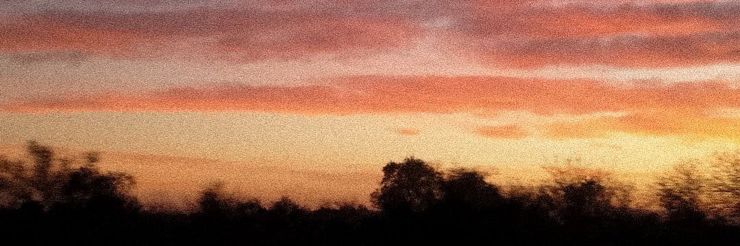 Reynosofer_'s profile banner image