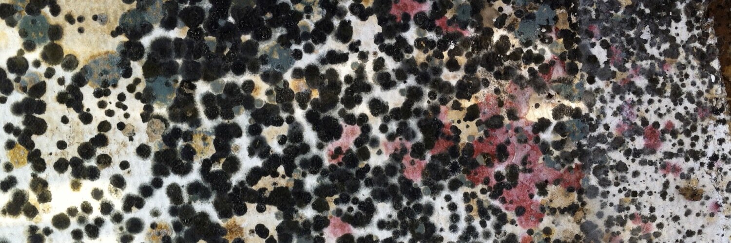 Rasmus Larsson 🇸🇪🇺🇦 banner