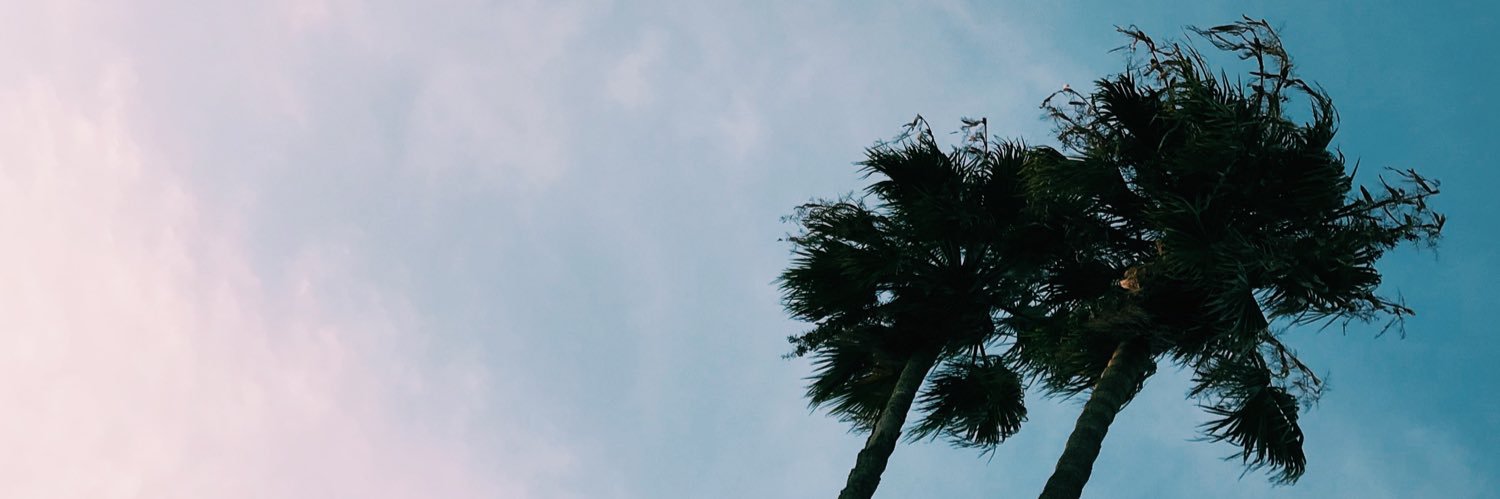 PaulaPonsMontes's profile banner image