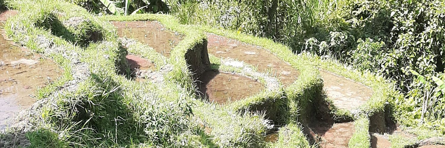 aelgatri's profile banner image