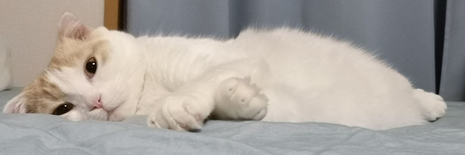ひー または ひょろ banner