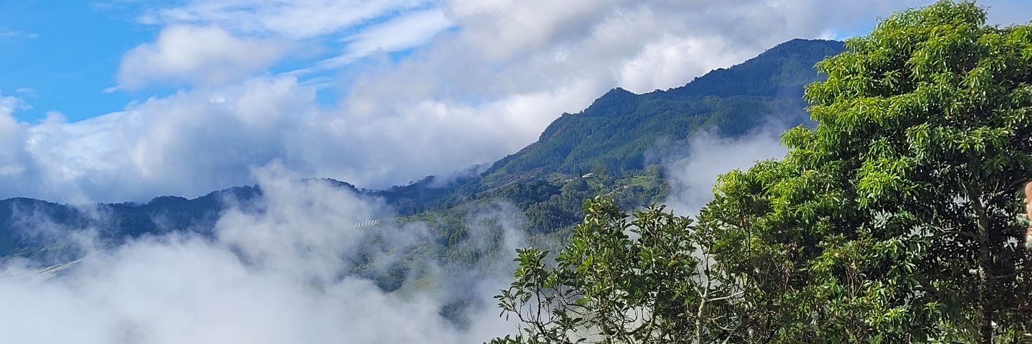 MAoRamirezL's profile banner image