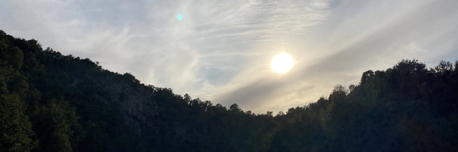 AmelieGDF's profile banner image