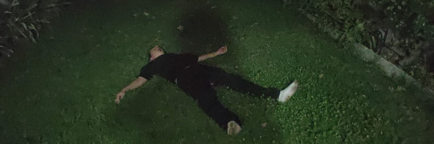 Noctuo's profile banner image