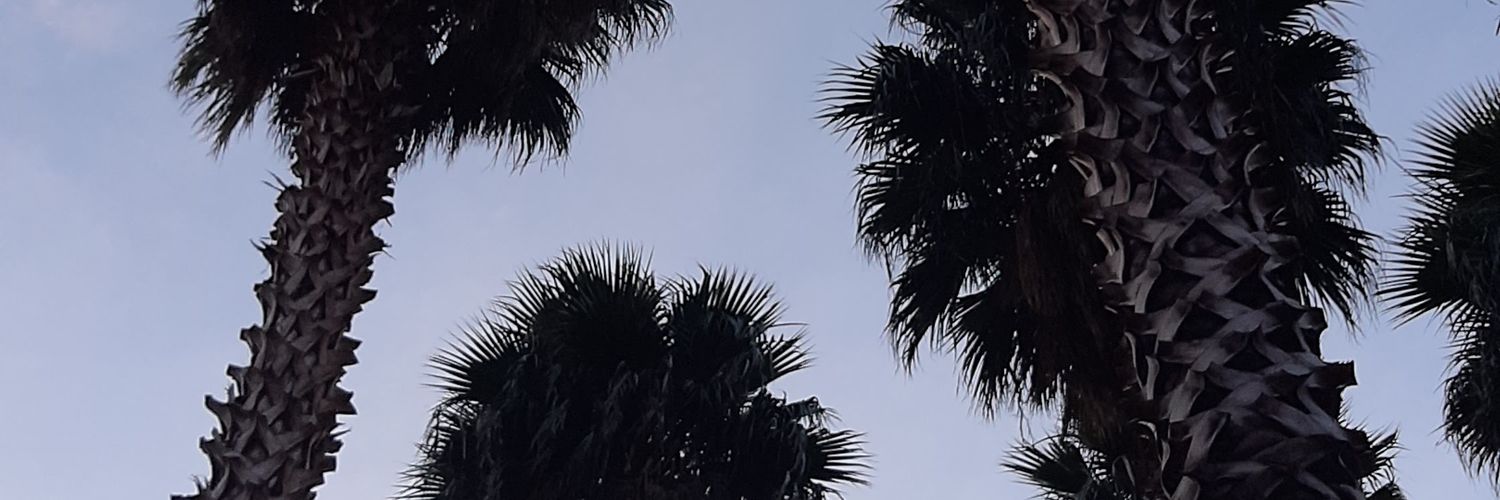 mayrabojorges's profile banner image