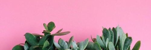 DaisyD_W's profile banner image