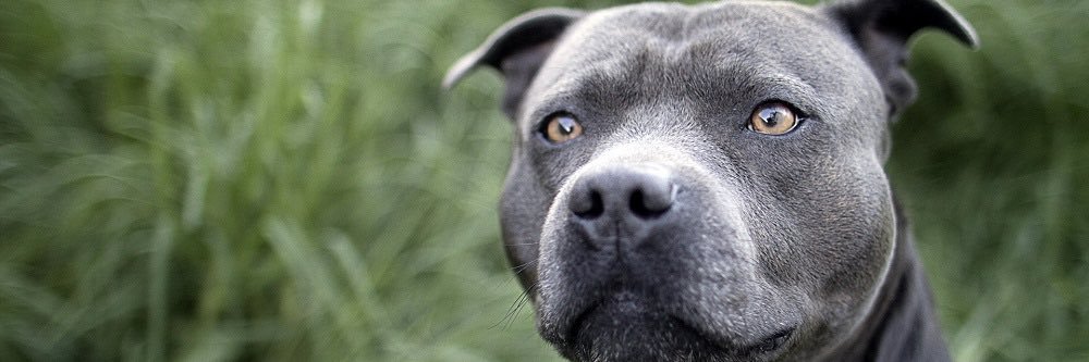 @heathermoandco.bsky.social banner