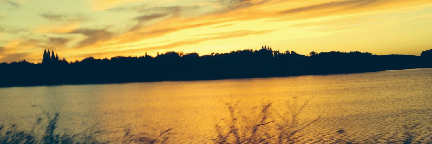 DakMasterFleX's profile banner image