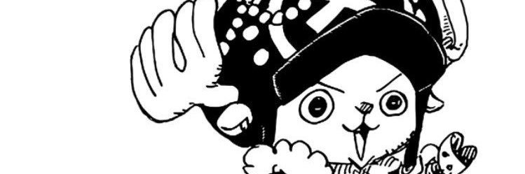 tony tony chopper banner