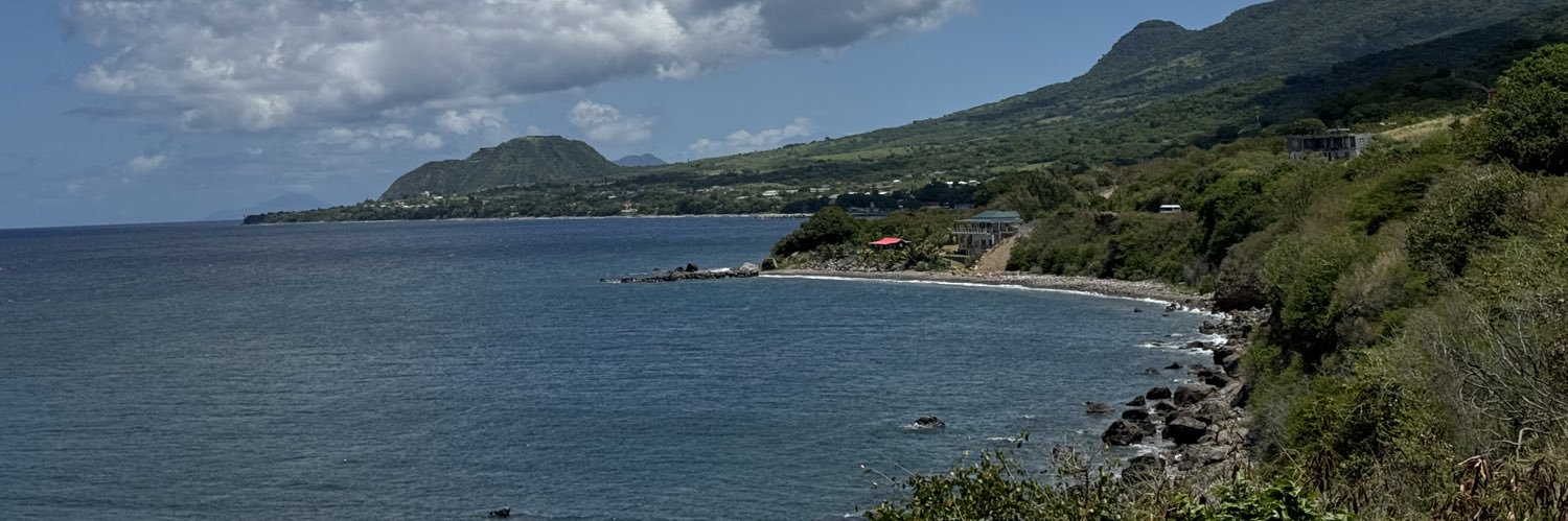 Michael Brucey banner