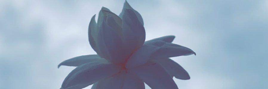 mem_473's profile banner image
