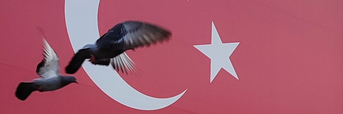 zeynebuslu's profile banner image
