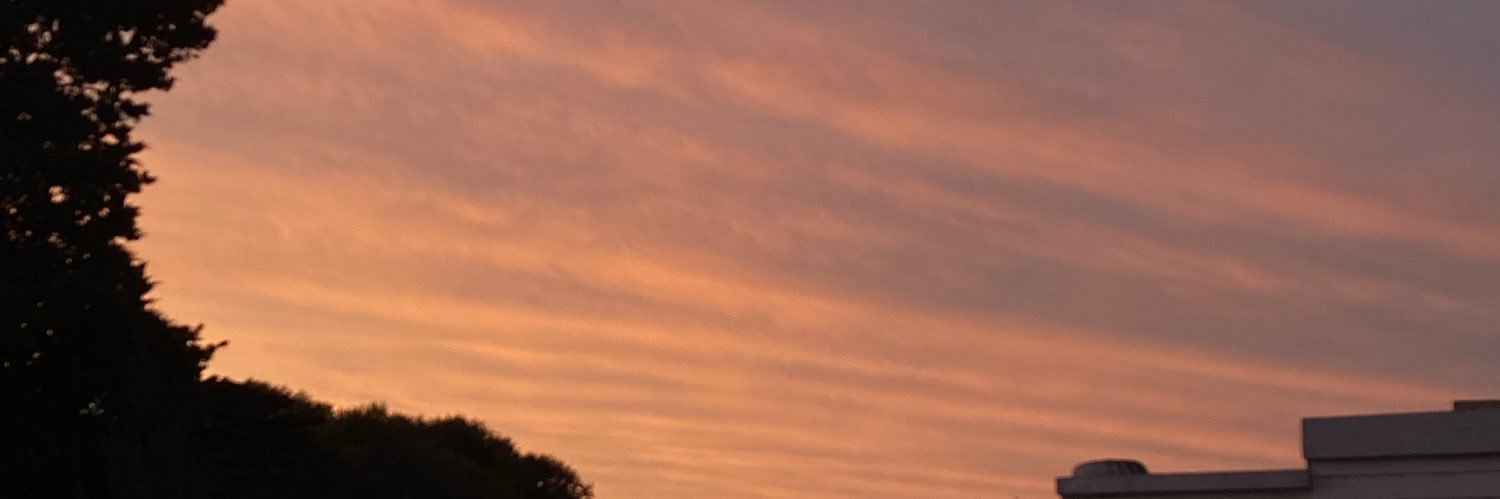 luliiimb's profile banner image